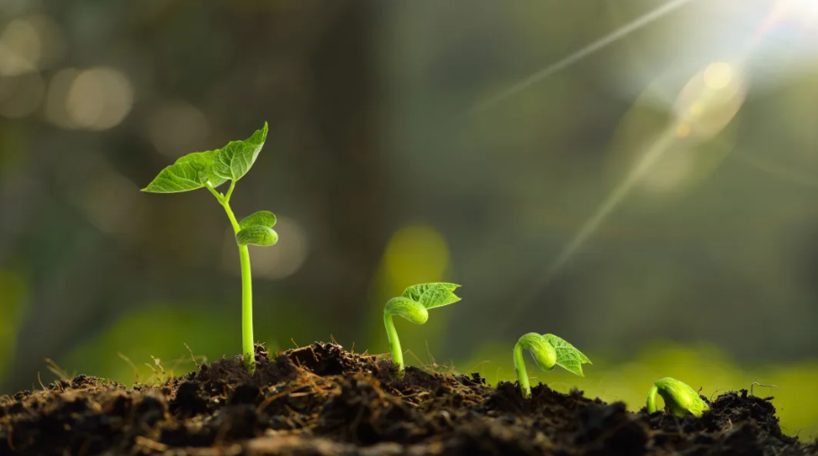 重磅|金年会“20周年庆”大幕拉起，是时候发挥你的聪明才智了！(图3)