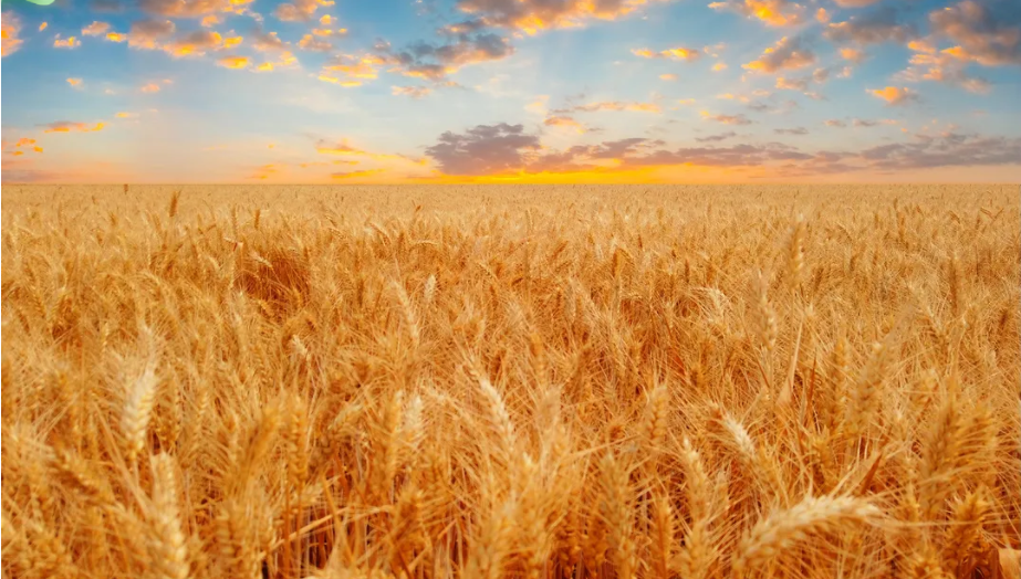 重磅|金年会“20周年庆”大幕拉起，是时候发挥你的聪明才智了！(图5)