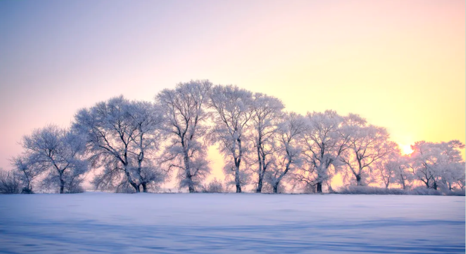 重磅|金年会“20周年庆”大幕拉起，是时候发挥你的聪明才智了！(图6)