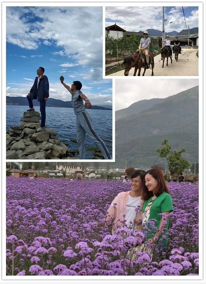 感恩于心，回馈于行丨金年会优秀员工云南之旅圆满结束(图3)