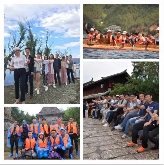 感恩于心，回馈于行丨金年会优秀员工云南之旅圆满结束(图4)