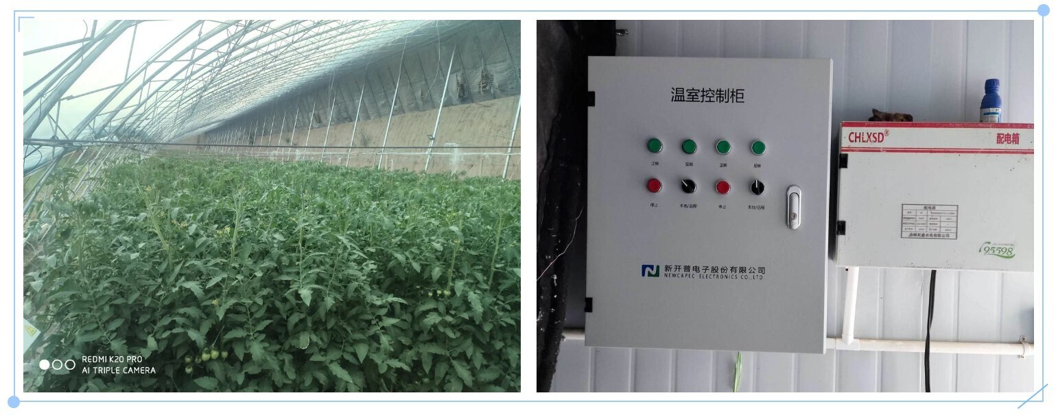 翁牛特旗园区智慧大棚项目，交出现代农业的“亮眼答卷”！(图4)